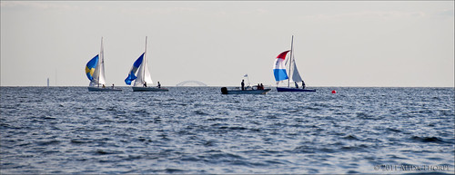 great south bay race by Alida's Photos