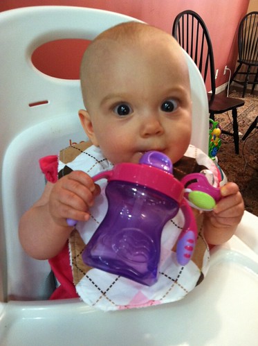8 months sippy cup