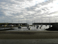 A Sunday morning in Bray harbour