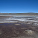 La concentrazione di sale e solfati di questa laguna prima di El Peñon