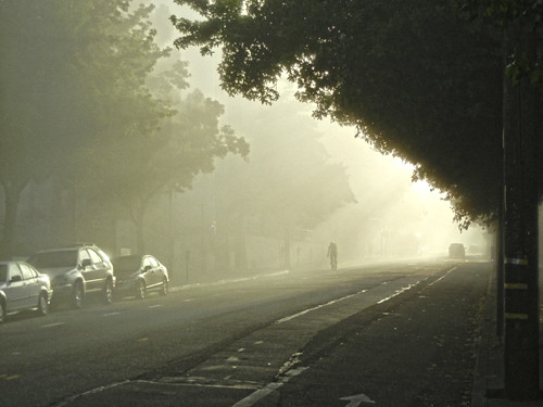 Morning Fog 4730 HDR _ 500