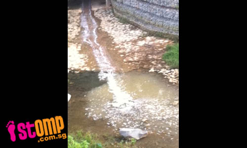 Bishan Park canal filled with stinking liquid discharge-data