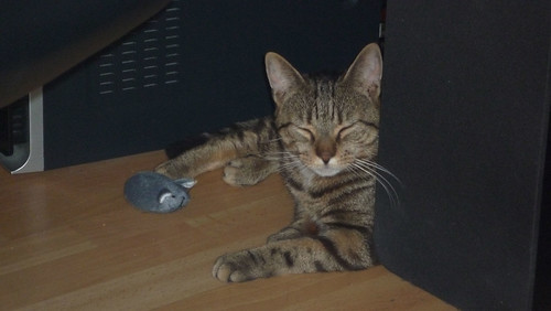 Hamlet and his favourite mouse