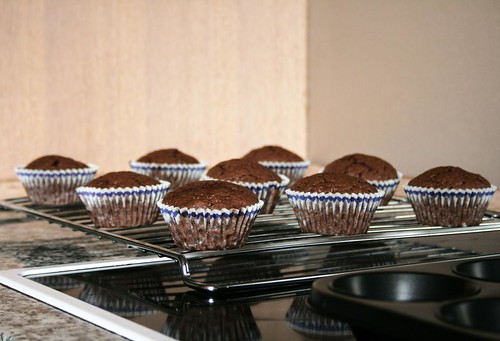 chocolate muffin delight