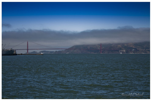 Golden gate bridge- covered by fogs