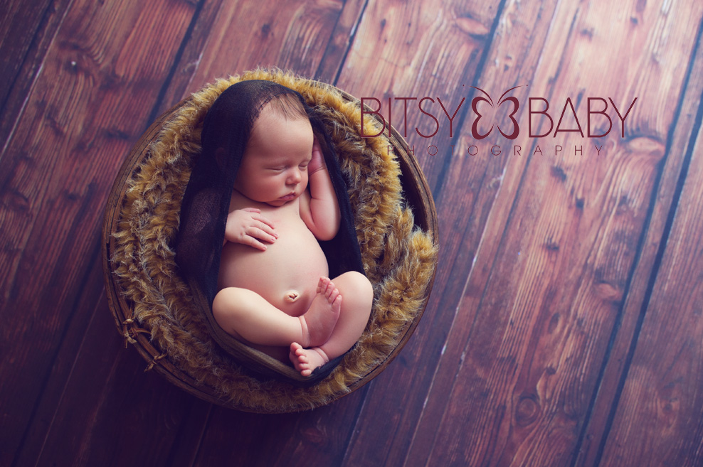 newborn photographers prop Brady