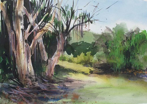 Paramount-Ranch-Eucalyptus by Spencer Mackay