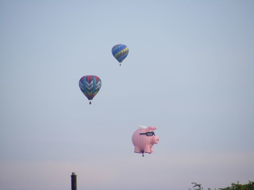 This little piggy went flying