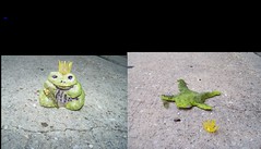 Toad Prince/Toadskin Rug