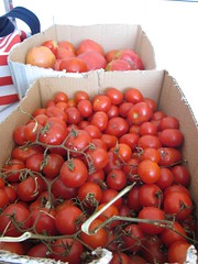 TomatesTomatinhos