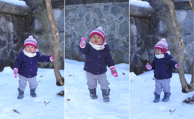 Ayska playing snow