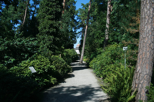 Weg - Botanischer Garten München