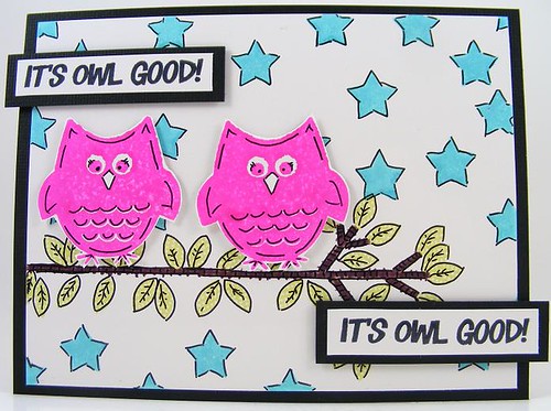 SOL September Good Owls Card