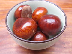 First conkers