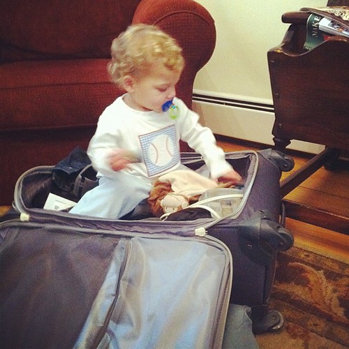 Trying to go home in Gigi's suitcase