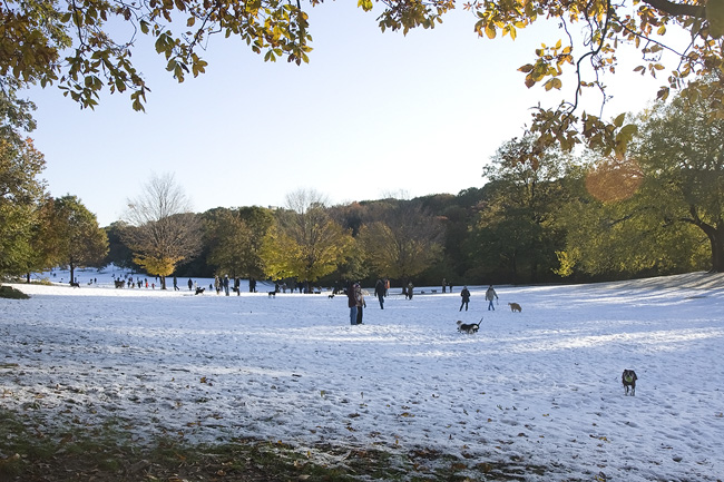 Prospect Park fall snow