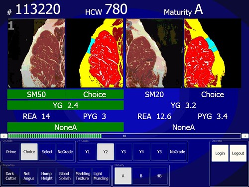 A screenshot from the electronic grading system showing USDA Choice, Yield Grade 2 beef. The left is the natural color view of the cut; the right is the instrument enhanced view that details the amount of marbling, size, and fat thickness. Beef grading is a complex and detailed process, requiring graders to think and calculate quickly with great accuracy.  Using technology to compliment and supplement the onsite human graders generates an efficient and more precise process.
