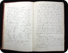 Diary of Samuel Delano King (F594 .K56 1861)