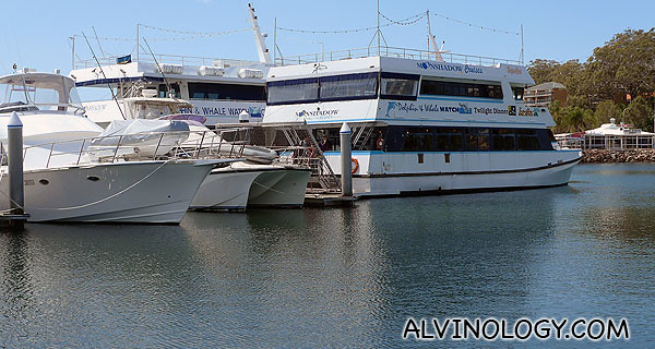 The Moonshadow cruise ship we will be boarding for dolphin watching