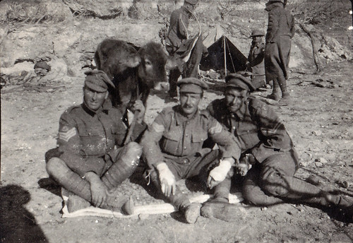 British soldiers with a cow. Palestine. WW1.