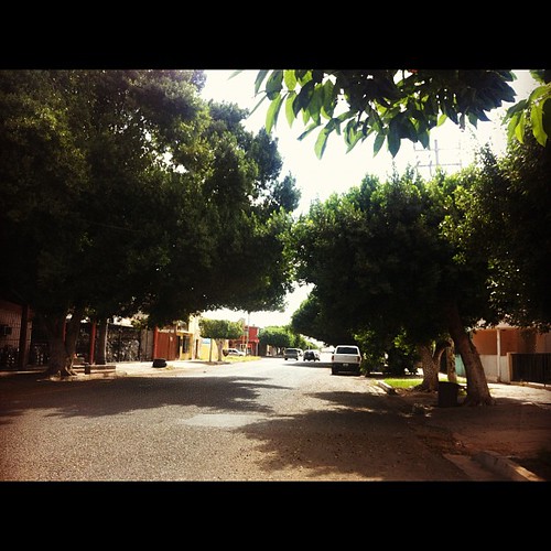 Puebla & 6 de abril... Hace muuuucho que no pasaba por aquí y me dieron muchas ganas de vivir con ese árbol hermoso! by Erika Tamaura