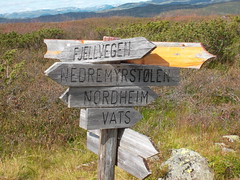 wooden direction signs on a hike