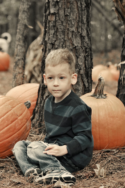 carson pumpkin forest colorized