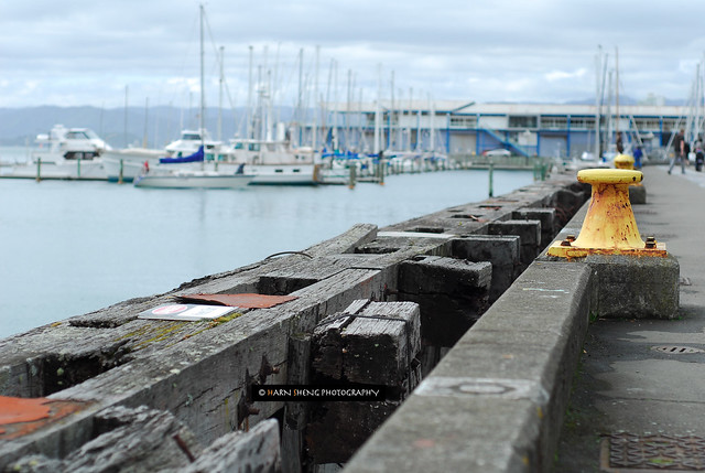 Wellington port