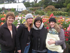 Gigi, Aunt Robin, and Michele Visiting Us in SF