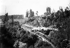 chasm-creek-train F166 1903