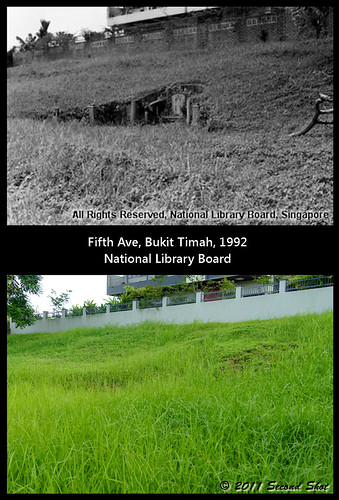 Bukit Timah, Fifth Ave Cemetery