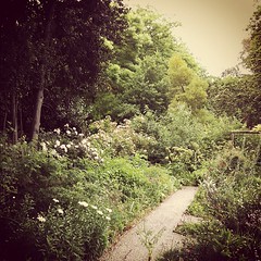 Heide garden
