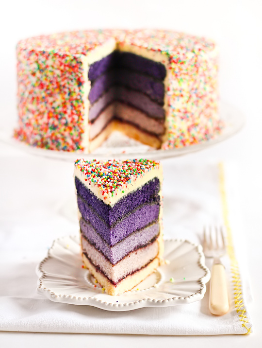 purple_ombre_sprinkle_cake-16