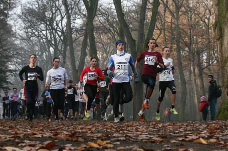 Svátek přinese běhy 17. listopadu, víkend krosy i závody na dráze