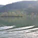 Waves in the Danube