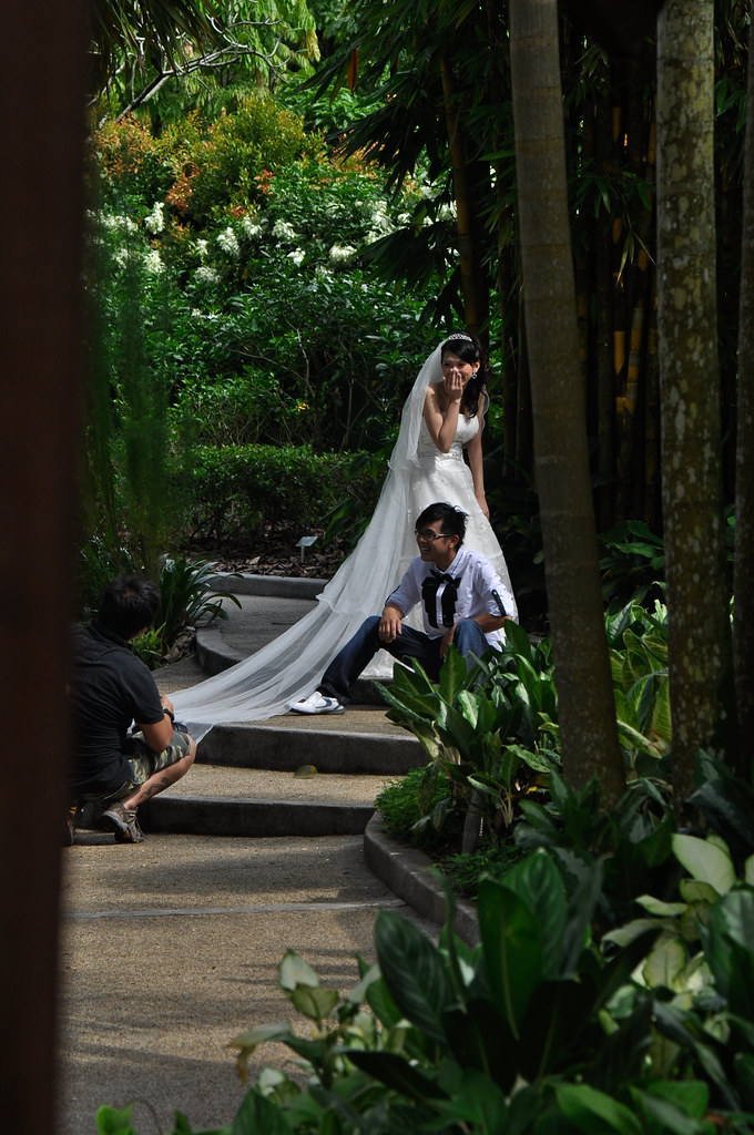 A pair of Newly Weds 一对新人 ...