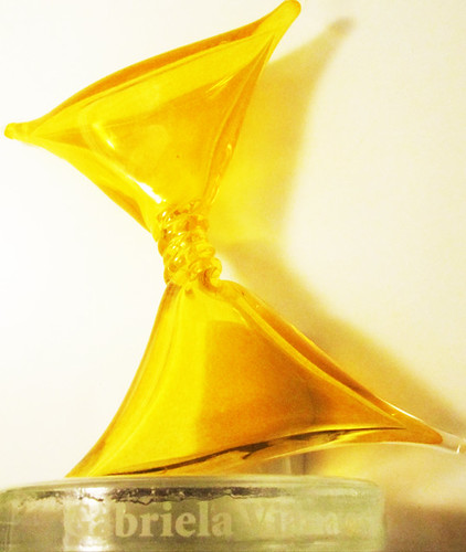 Prix élixir Bénévole de l'anneé 2011