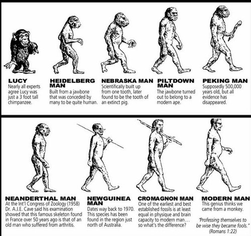 Human-Evolution-Chart