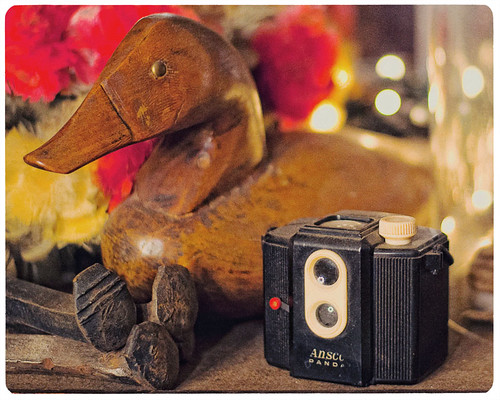 365 Day 296: Camera Porn (Week 2): Ansco Panda with a Wooden Mallard by ★ 0091436 ★