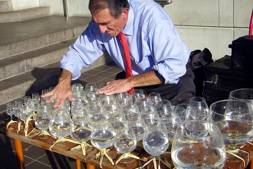 Jamey Turner plays the glass harp in Alexandria (by: runneralan2004, creative commons license)