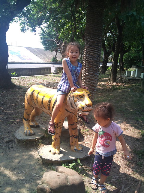 1001019  回到童年時期的同心公園 找到那隻石老虎 我要哭了我。