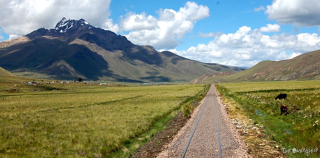 Andean Explorer - Peru Rail