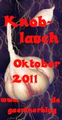 Garten-Koch-Event Oktober 2011: Knoblauch [31.10.2011]