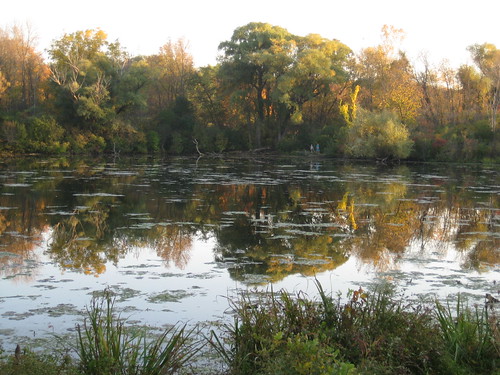 pretty pond, Wisconsin