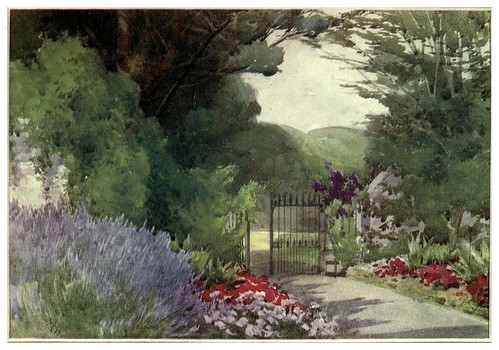 021-Lavanda-Geranios y Damasquinos en Bushey Park Dublin- Flower grouping in English, Scotch & Irish gardens 1907- Margaret Waterfield