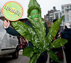 Legalize Pot Costume