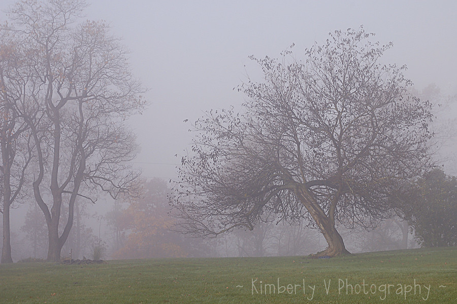 November 1 foggy morning