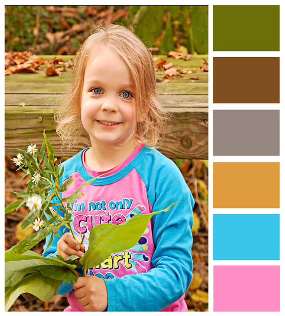 Leaves6 edit-color bar
