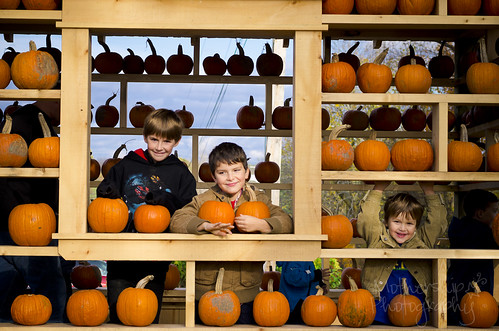 302:365 The boys in the Pumpkin House