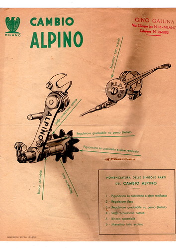 Cambio Alpino by ruote di carta